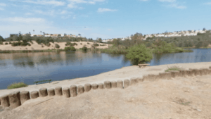 Laguna Niguel Regional Park San Juan Capistrano CA